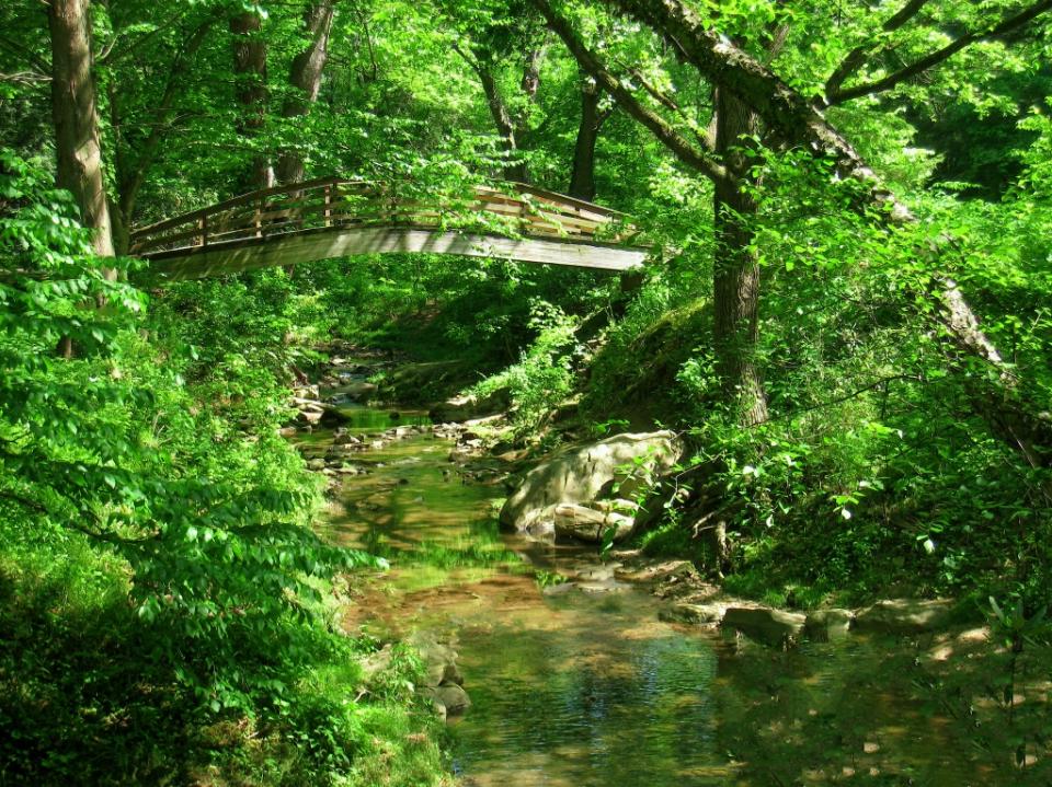 Bridge across a stream at the Botanical Gardens in Asheville, Asheville, North Carolina, USA via Getty Images