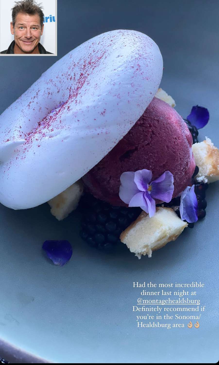 <p>"Had the most incredible dinner last night at Montage Healdsburg," Pennington captioned his dessert course at the hotel in California's Sonoma wine country.</p>