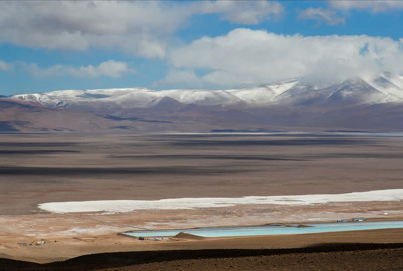 FOTO DE ARCHIVO: Soja, litio, canje de divisas: el problema con China del presidente electo argentino Milei