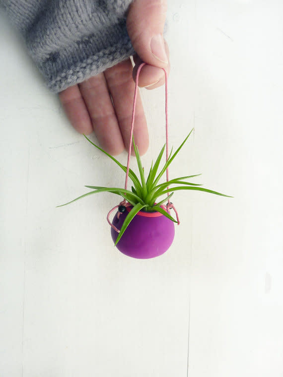 Neon Air Plant Holder