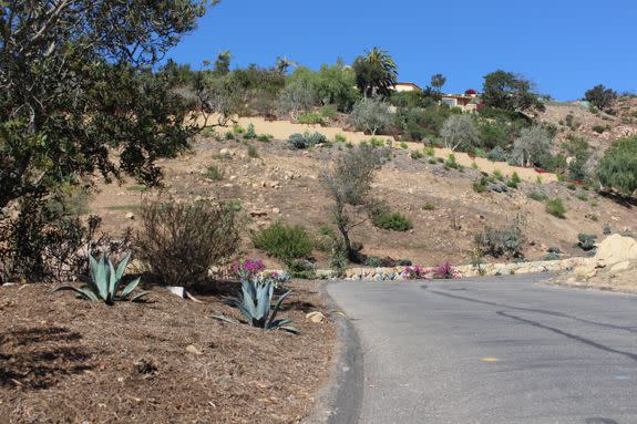 Cleared land along Montecito's high road system.