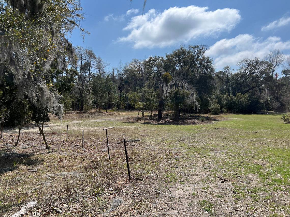 This three-acre property at Sea Turtle Marketplace is where Aldi is planning to build a grocery store on Hilton Head Island.
