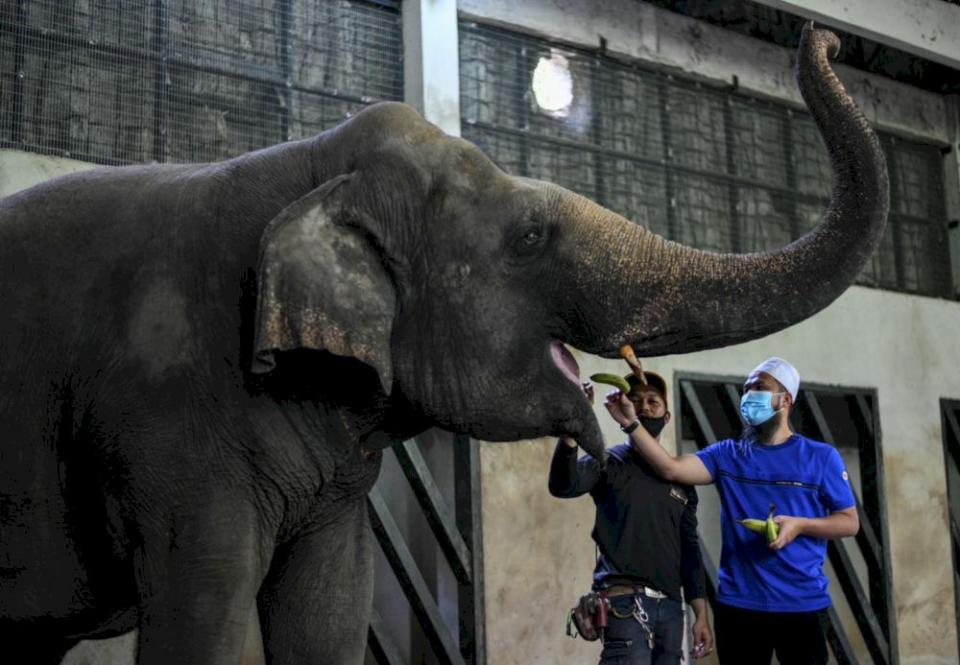 Ustaz Ebit Lew sends food to Zoo Negara to help the animals get through MCO 3.0. — Picture via Facebook/ebitlewofficialpage