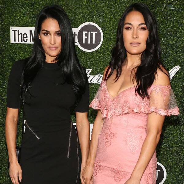 Nikki and Brie Bella's Book 'Incomparable' Talks Abuse and Hard Past