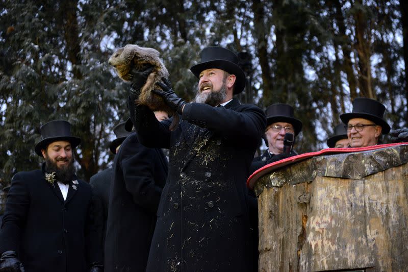 Punxsutawney Phil is introduced to the crowd on the 133rd Groundhog Day in Punxsutawney, Pennsylvania