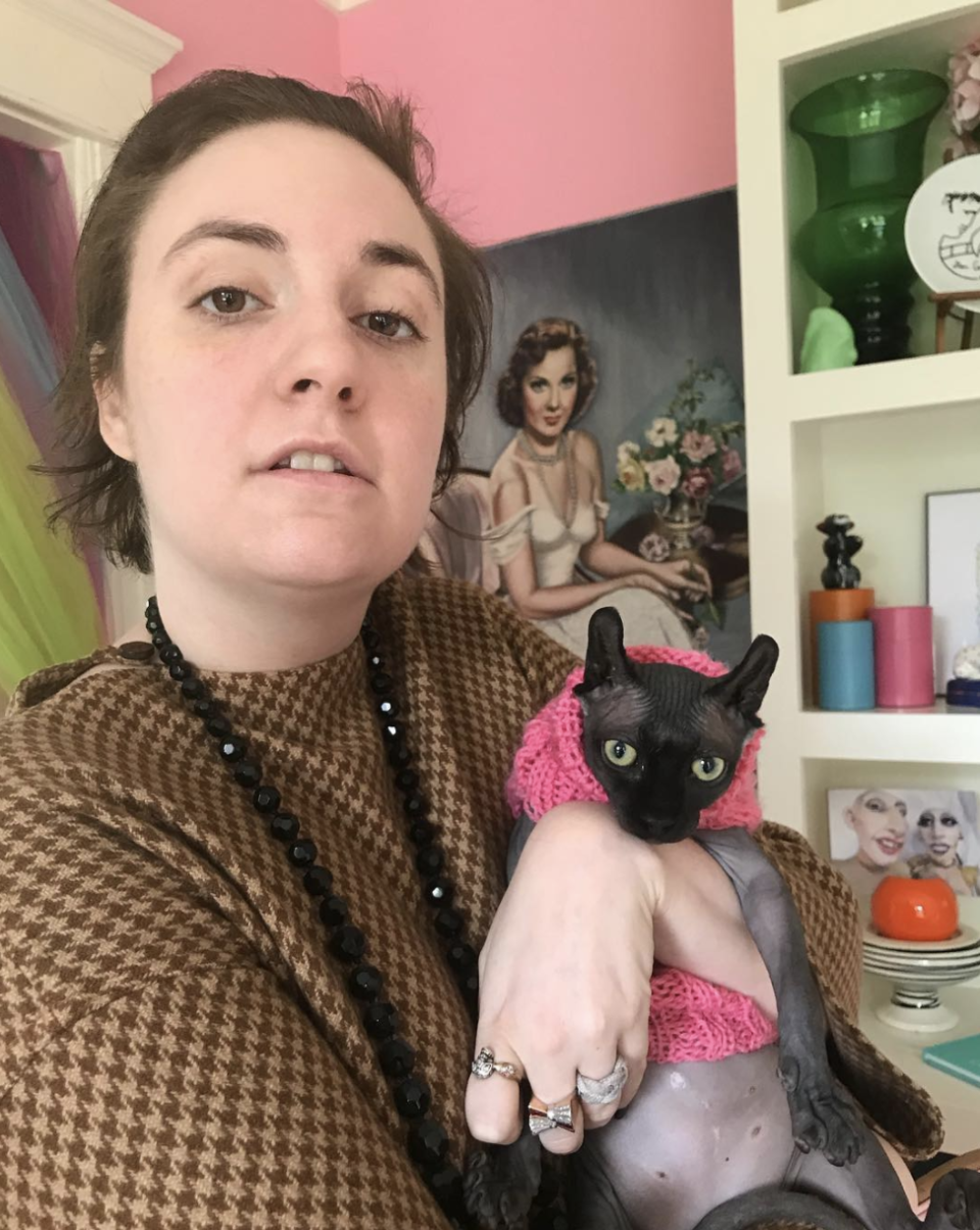 <p>“#WCW is Gia Marie Carangi the cat in her new angora<em> lewk,” </em> the <em>Girls</em> star captioned this shot of her fancy feline, working a hot pink accessory. Adding, “She cares not what you feel about her nude belly. (Like mama like baby)” </p>