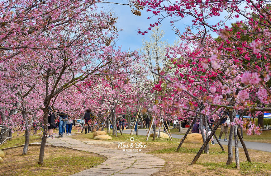 台中后里｜2021 中科崴立櫻花公園