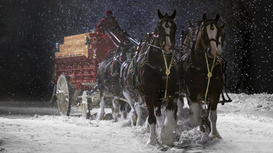 This photo provided by Anheuser-Busch shows the Budweiser 2024 Super Bowl NFL football spot. The perennial Super Bowl advertiser is bringing back fan favorites the Clydesdales and a Labrador, in a nod to previous commercials that aired during advertising's biggest night. Ahead of Super Bowl 58, some advertisers are releasing ads early in the hope of capitalizing on the buzz leading up to the game. (Anheuser-Busch via AP)