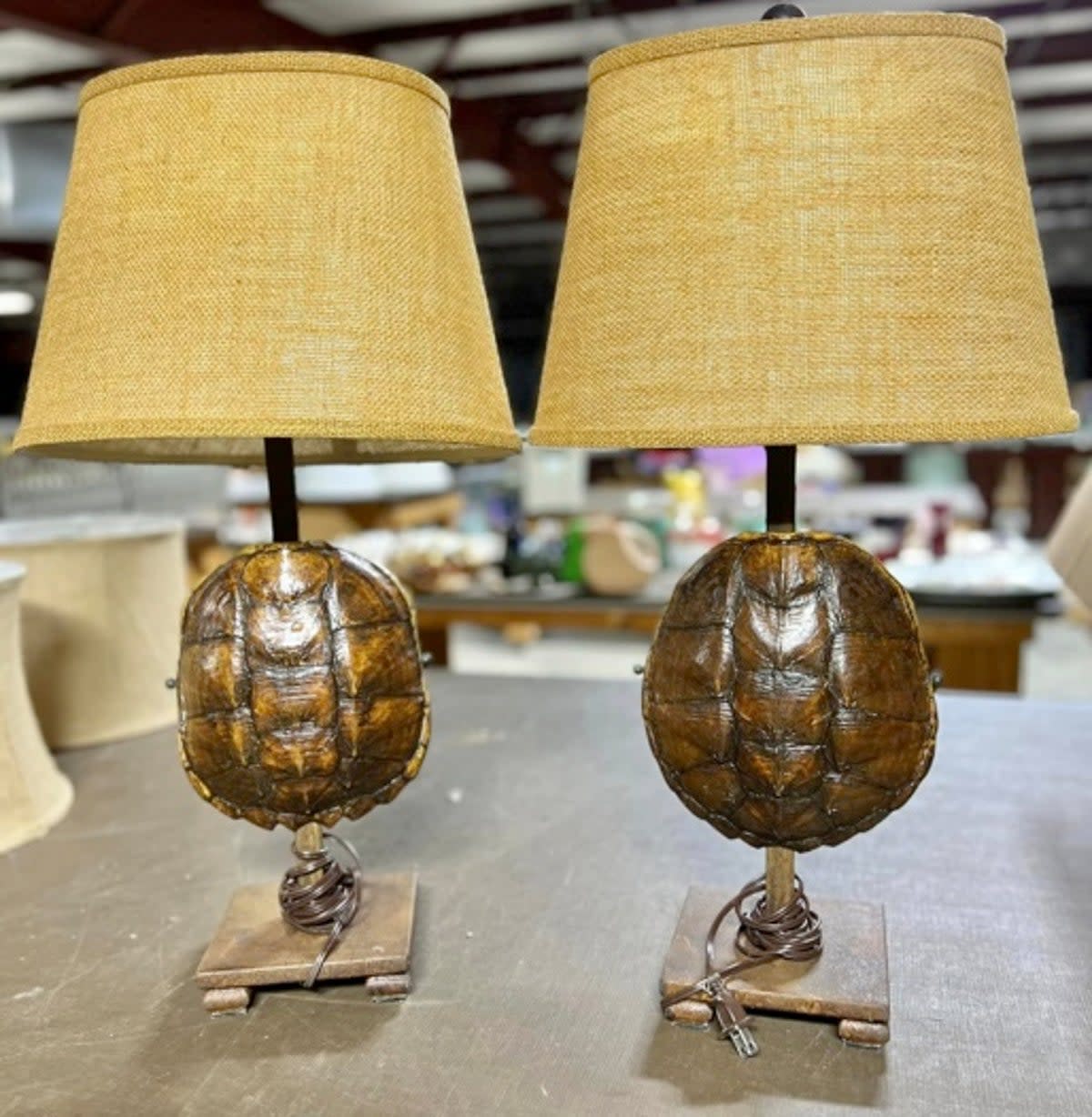 Lamps made of turtle shells set one buyer back $2,000 (Liberty Auction)