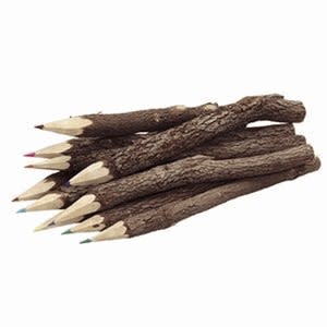 Twig Pencils