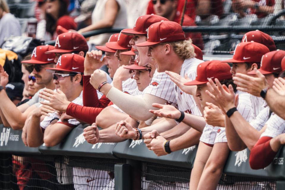 The Arkansas baseball dugout cheers during a weekend series against Florida on Saturday, April 27, 2024.