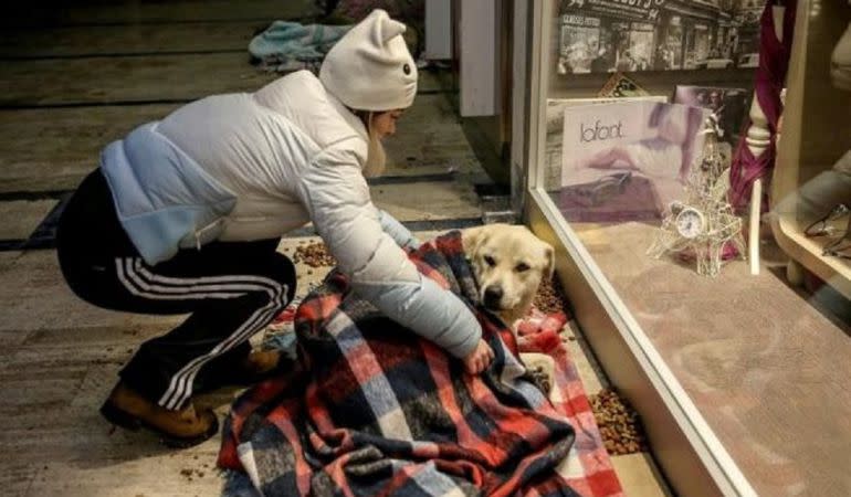 Una de las voluntarias ayudando a un perro.