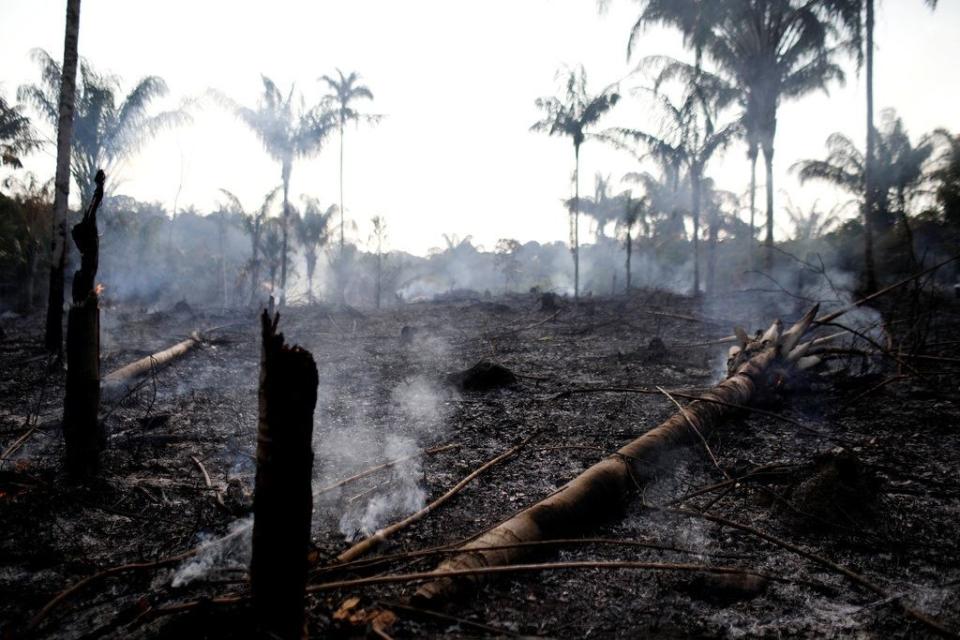 These Photos Show The Devastation Taking Place In The Amazon Rainforest