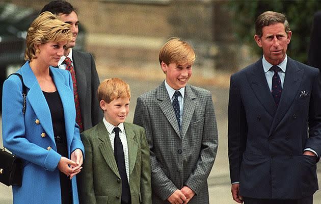 'The cause was the situation where my husband and I had to keep everything together because we didn't want to disappoint the public,' said Diana. Photo: Getty