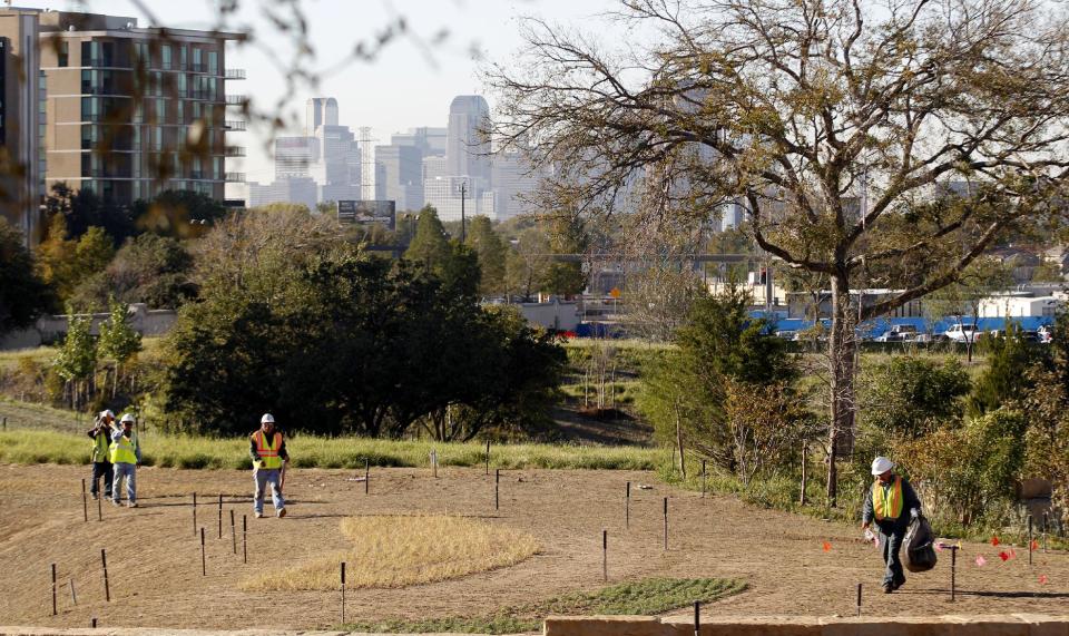 In this Monday, Oct. 29, 2012 photo, workers walk across a mini prairie at the George W. Bush Presidential Center in Dallas. A 15-acre park at the upcoming George W. Bush Presidential Center will recreate a Texas prairie, complete with a wildflower meadow, a special blend of native grasses and even trees transplanted from the former president's ranch. The park's landscaping, which was completed this month, is a recreation of the kind of prairie landscape that would have existed in the area before it the city was built. (AP Photo/LM Otero)