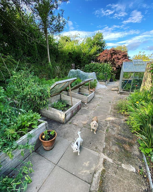 <p>The fifth trend to have on your radar for next year is raised garden beds. While they're nothing new in the exciting world of horticulture, the straightforward design has certainly picked up momentum in recent months. </p><p>'By building a raised wooded garden bed, not only do you create a fantastic feature in your outside space, it's an ideal option if you don’t have a lot of room in your garden. </p><p>'You can also gain better control over the <a href="https://www.housebeautiful.com/uk/garden/a32084485/garden-soil/" rel="nofollow noopener" target="_blank" data-ylk="slk:soil;elm:context_link;itc:0;sec:content-canvas" class="link ">soil</a>, reduce soil compaction and care for your plants much easier. The choice of wood is up to you – for a real rustic look, old railway sleepers work well,' the team explain.</p><p><a href="https://www.instagram.com/p/CC9Jf1ogy90/" rel="nofollow noopener" target="_blank" data-ylk="slk:See the original post on Instagram;elm:context_link;itc:0;sec:content-canvas" class="link ">See the original post on Instagram</a></p>