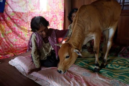 Khim Hang, 74, sits in her bedroom with a cow which she believes is her reborn husband in Kratie province, Cambodia, July 18, 2017. REUTERS/Samrang Pring