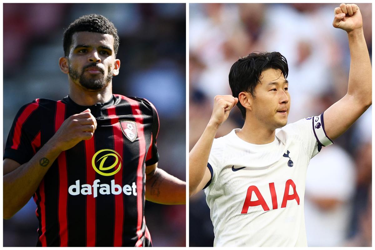 Tottenham team news: Spurs waiting on availability of South