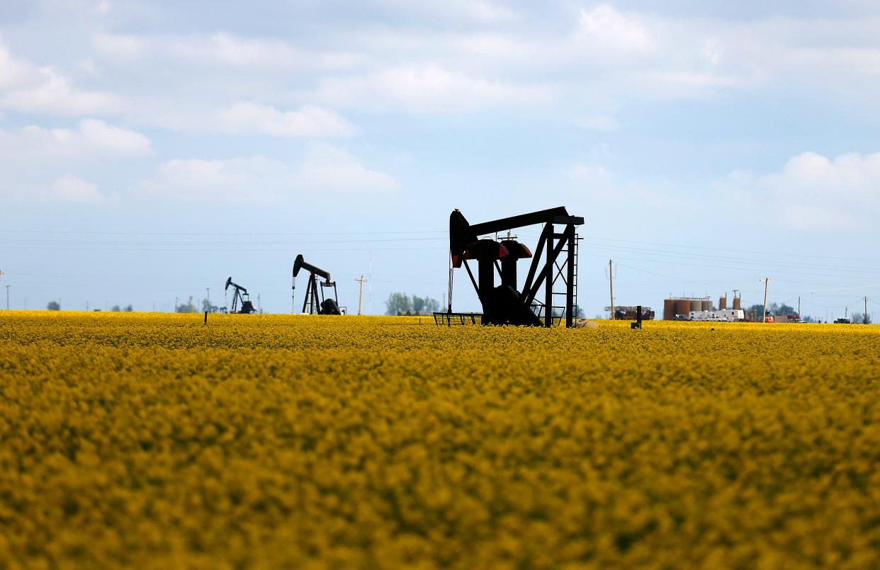 An oil pumper is pictured in a canola field are pictures near Hennessey.