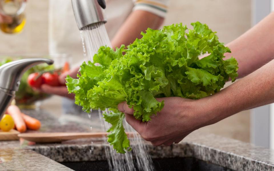 Salat vor dem Waschen schneiden