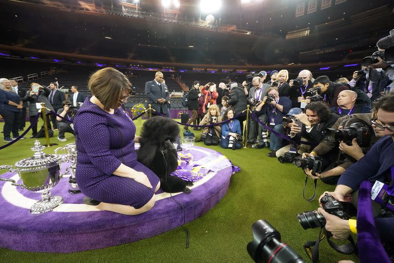 2020 Westminster Kennel Club Dog Show at Madison Square Garden in New York City