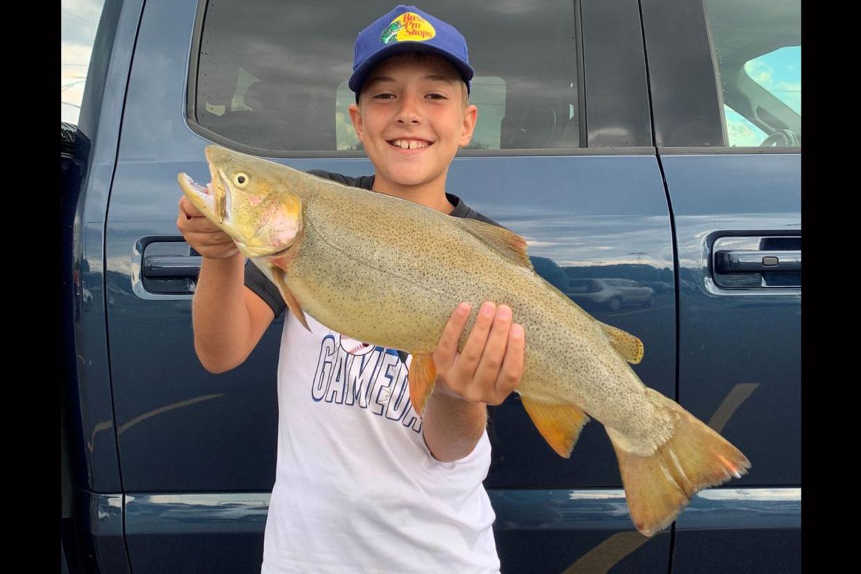 The Tennessee Wildlife Resources Agency released 2,550 Cutthroat Trout into the upper portion of Fort Patrick Henry Reservoir on the Holston River below Boone Dam in 2021.