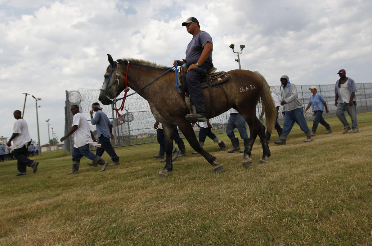 Louisiana prisoner suit claims they’re forced to endure dangerous conditions at Angola prison farm