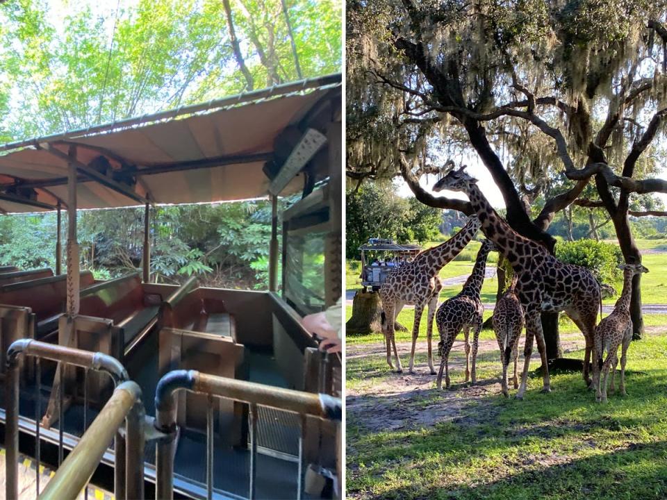 The Kilimanjaro Safaris ride at Disney World's Animal Kingdom.
