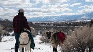 High Sierra Pack Goats