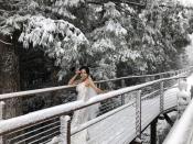 寒流搭配水氣，宜蘭太平山國家森林遊樂區7日晚間開始下雪，8日園區內林道及樹梢都成一片雪白，有民眾上山外拍。 圖片來源：中央社