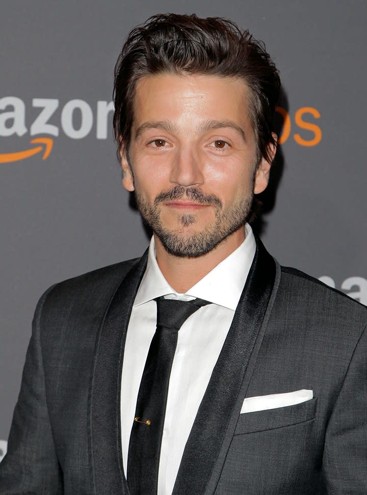 Diego Luna, The Intro Pompadour