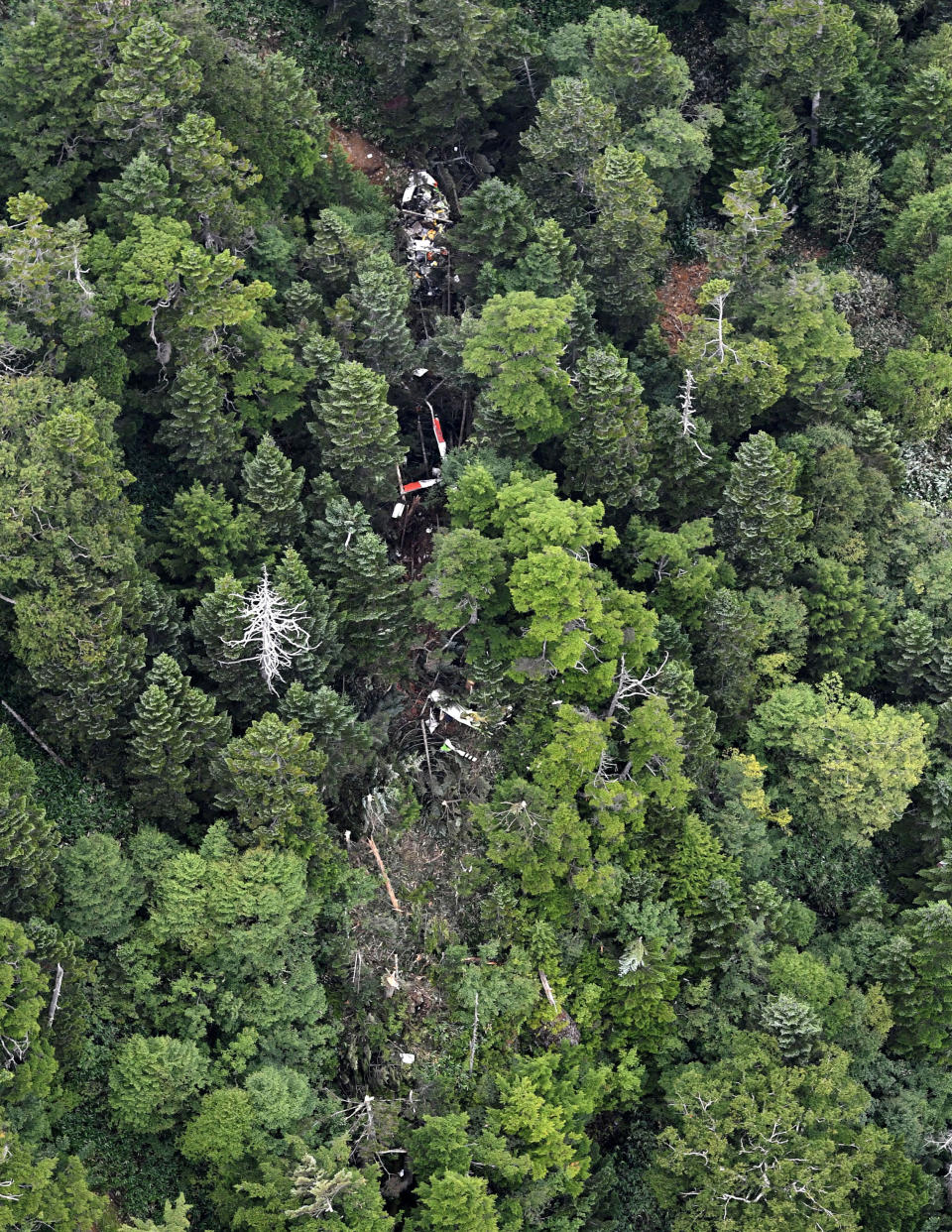 The wreckage of Gunma prefectural air rescue helicopter Haruna is seen after crashing in Nakanojo town, Gunma prefecture, northwest of Tokyo Friday, Aug. 10, 2018. The rescue helicopter has crashed in central Japan mountains hours after it lost contact and the condition of nine people aboard is not immediately clear. (Akiko Matsushita/Kyodo News via AP)