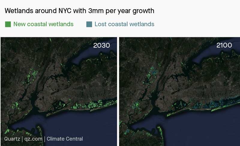 Wetlands around NYC in 2030 and 2100 with 3mm per year growth.