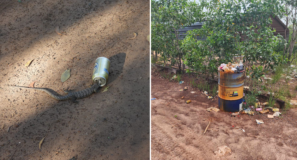 Left - a goanna with its head in a beer can. Right - an overflowing bin at Paru Barge Landing