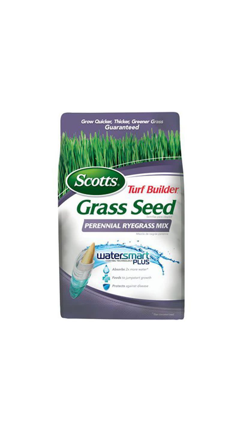 Turf Builder Grass Seed