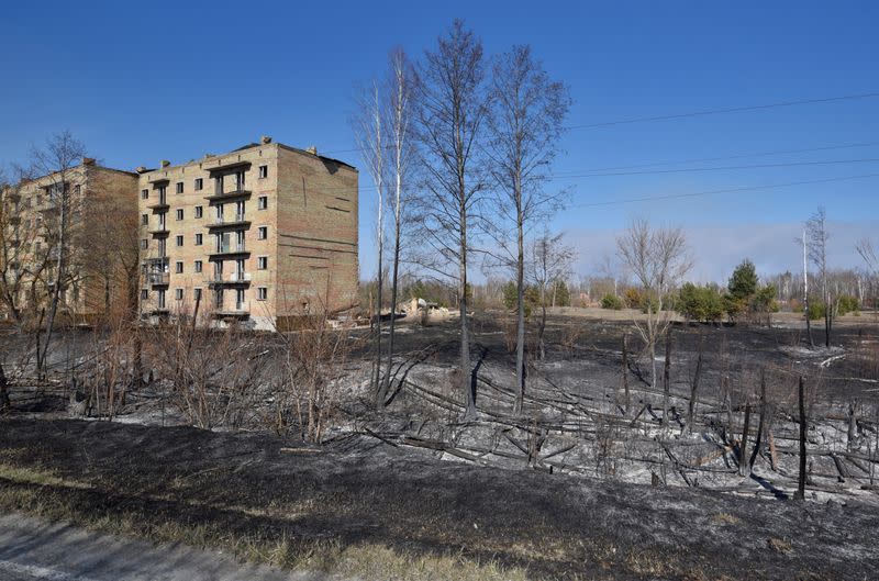 Burned trees are seen in the settlement of Poliske after a forest fire in the exclusion zone around the Chernobyl nuclear power plant