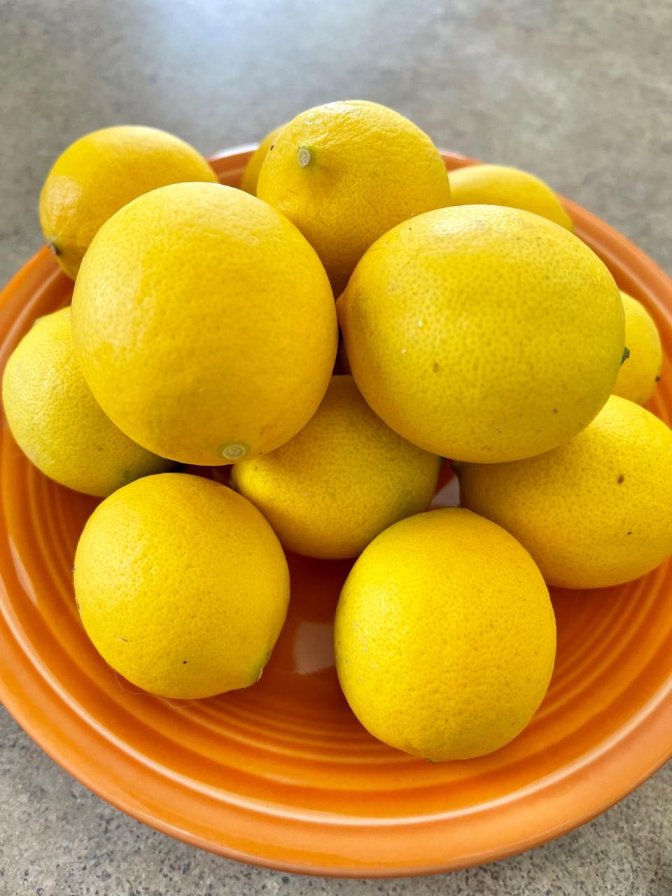 A 4-year-old Meyer lemon tree delivered a bumper crop in January. Meyer lemons are smaller than lemons you see in the grocery store, but they're fun to grow.
