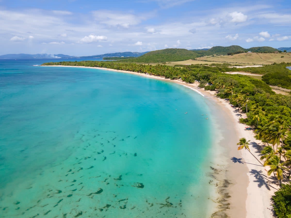 Salines Beach, Martinique (Getty Images/iStockphoto)