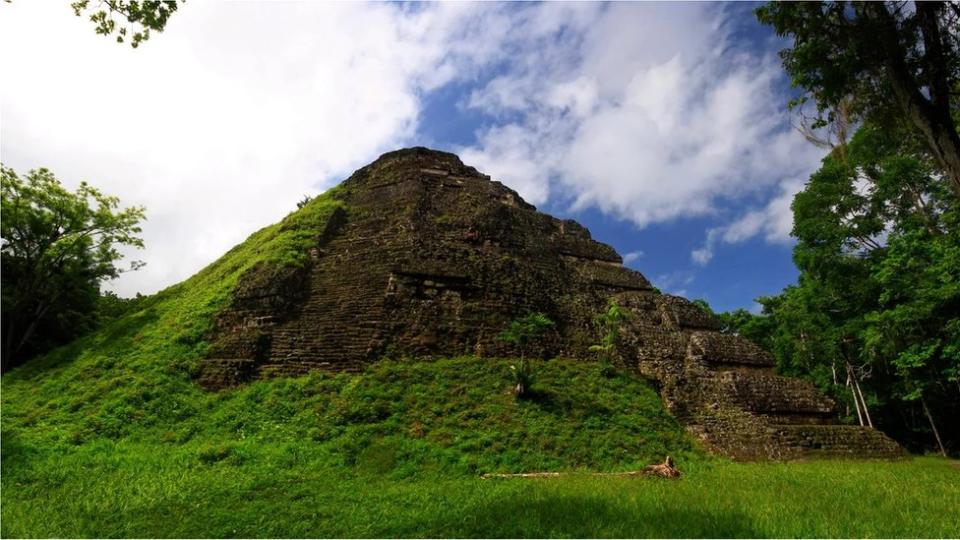 Una edificación maya cubierta de vegetación