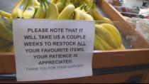 'Good to be back': Hampton farmers market staves off bankruptcy