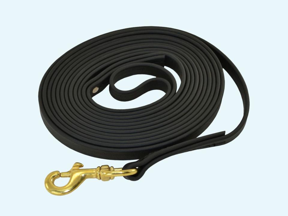 signature k9 biothane dog lead