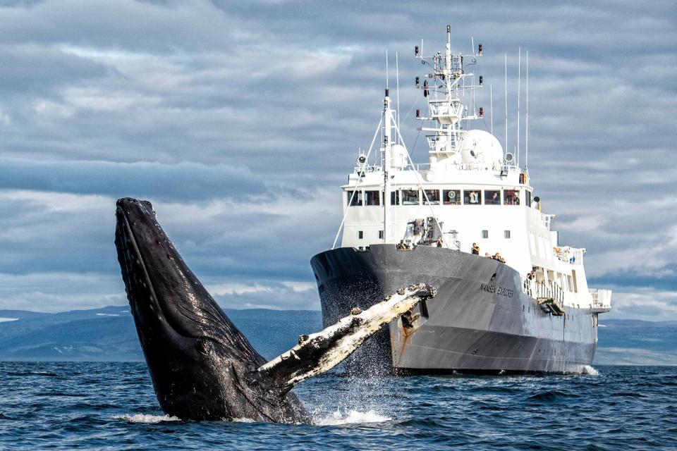 The Nansen Explorer in Antarctica