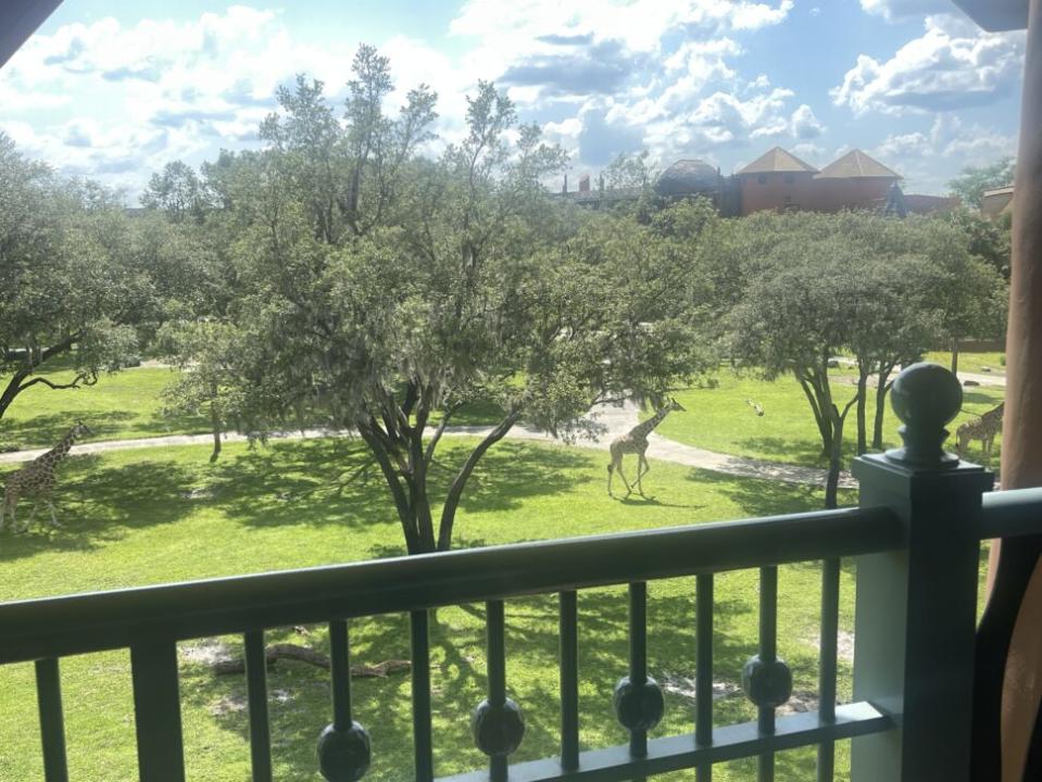 Giraffes walking by balcony at Animal Kingdom Lodge Jambo House at Walt Disney World.