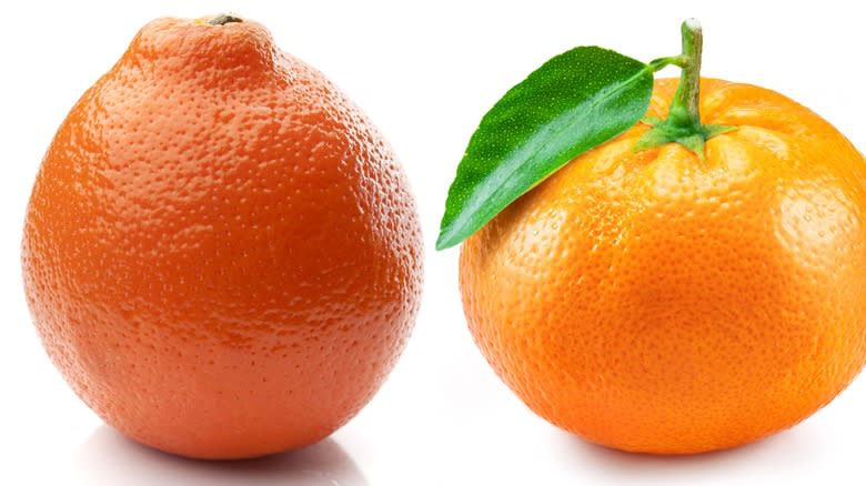 Tangelo and tangerine on white background