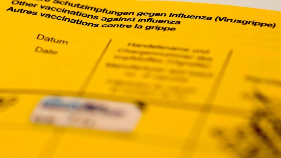 Ein Impfbuch mit den Feldern für die Impfung gegen Influenza (Virusgrippe).