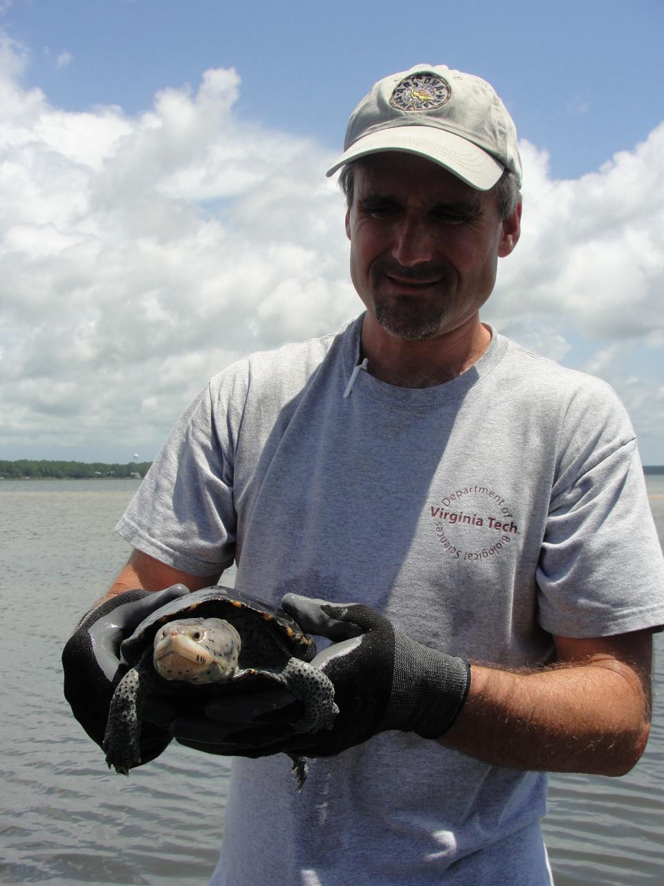 Steve Goodman, conservation biologist with National Parks Conservation Association, holds a diamondback terrapin as part of a volunteer survey project in the Florida Panhandle.