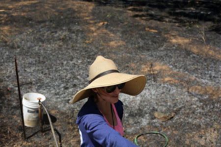 Debbie Cox draws water from a pump while preparing to clean up damage to her yard, which was burned by the Wall Fire, on her property near Oroville, California, July 10, 2017. REUTERS/David Ryder