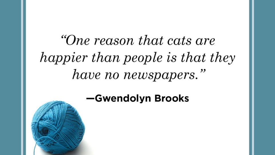cat quote by gwendolyn brooks