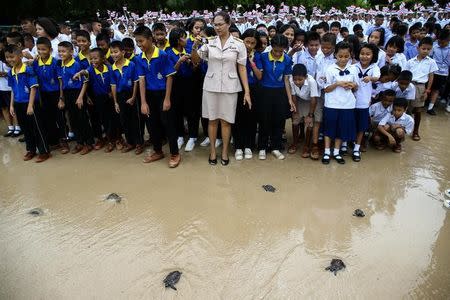 Well-wishers release sea turtles at the Sea Turtle Conservation Center as part of the celebrations for the upcoming 65th birthday of Thai King Maha Vajiralongkorn, in Sattahip district, Chonburi province, Thailand, July 26, 2017. REUTERS/Athit Perawongmetha