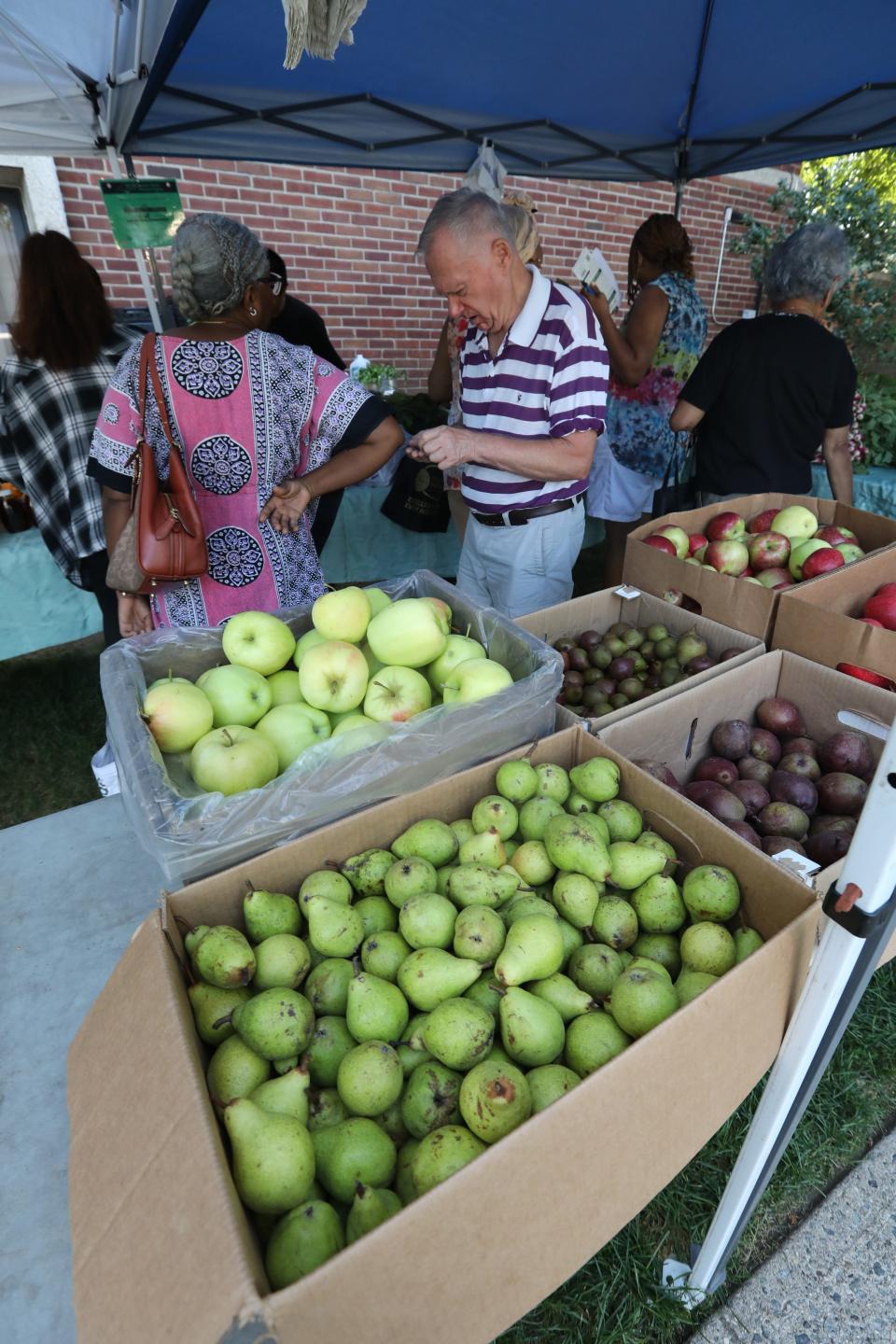 Shoppers look over the produce at the J&D Farm tent at the Finkelstein Library farm stand in Spring Valley Sept. 5, 2023.